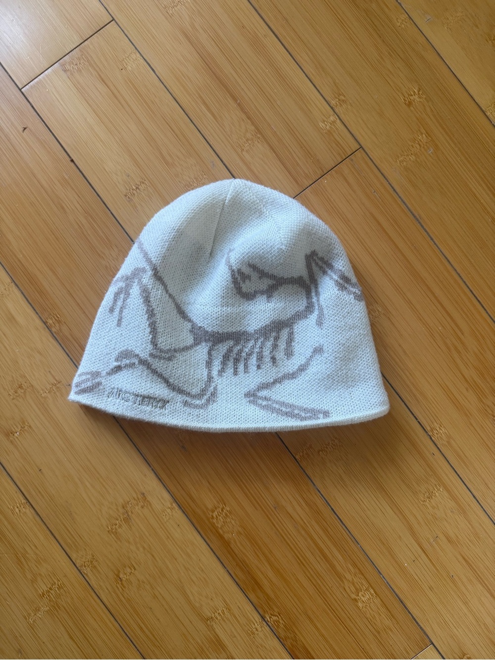 SOLD Arcteryx Beanie
